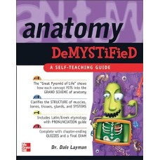Anatomy